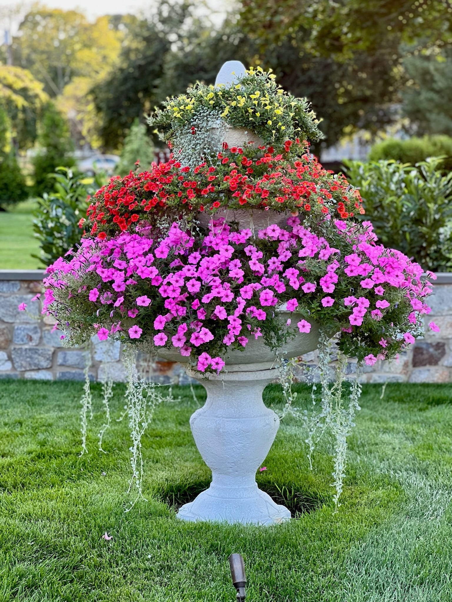 Urn planter with cascading petunias