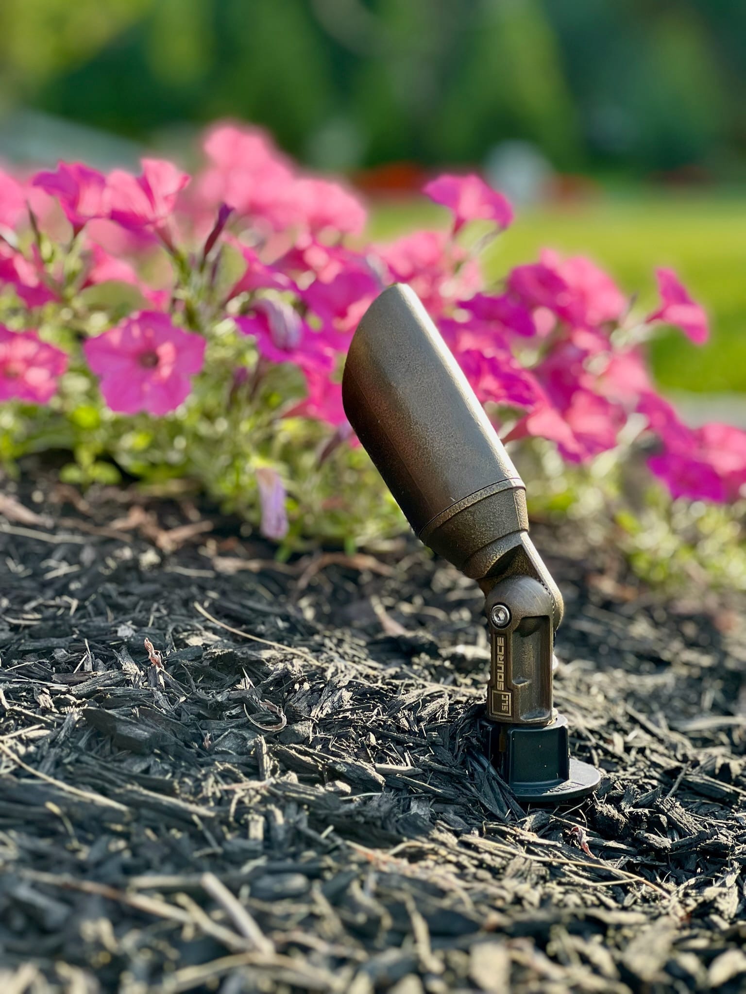 Brass uplight in mulch bed with petunias