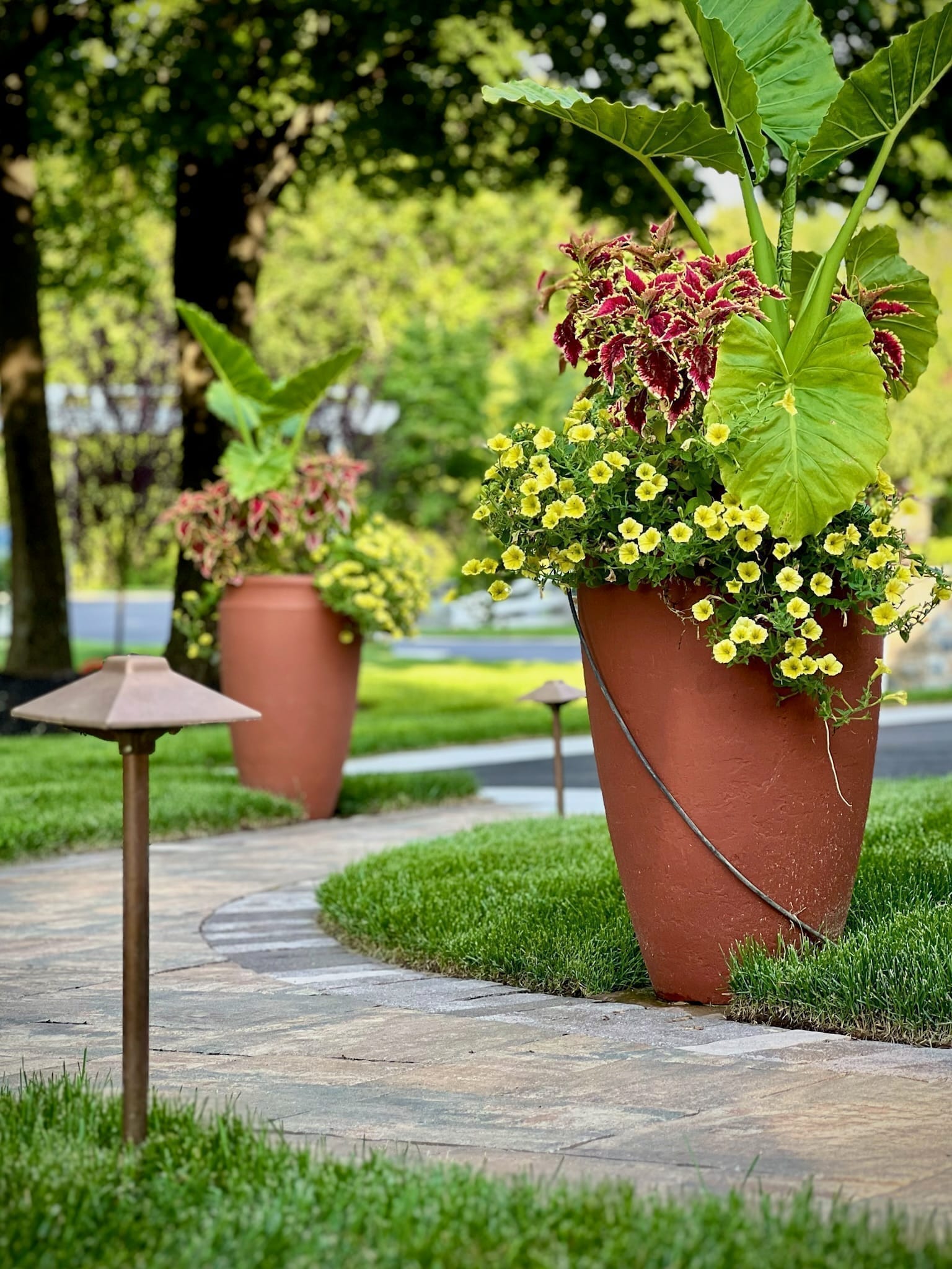 Mushroom-style bronze path lights illuminating a flagstone walkway lined with terracotta urns and elephant-ear plantings