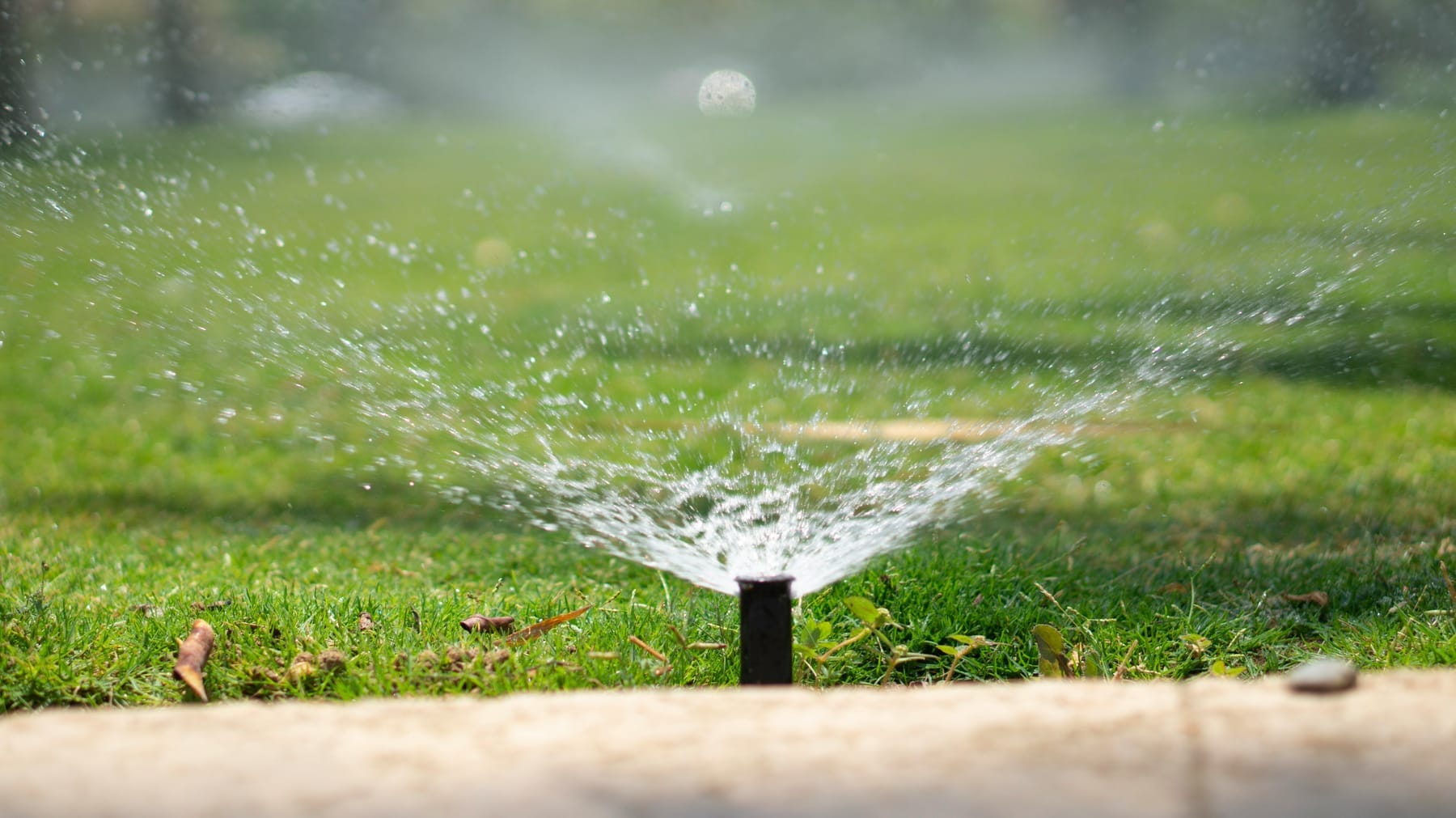 Pop-up irrigation sprinkler watering a fresh green lawn