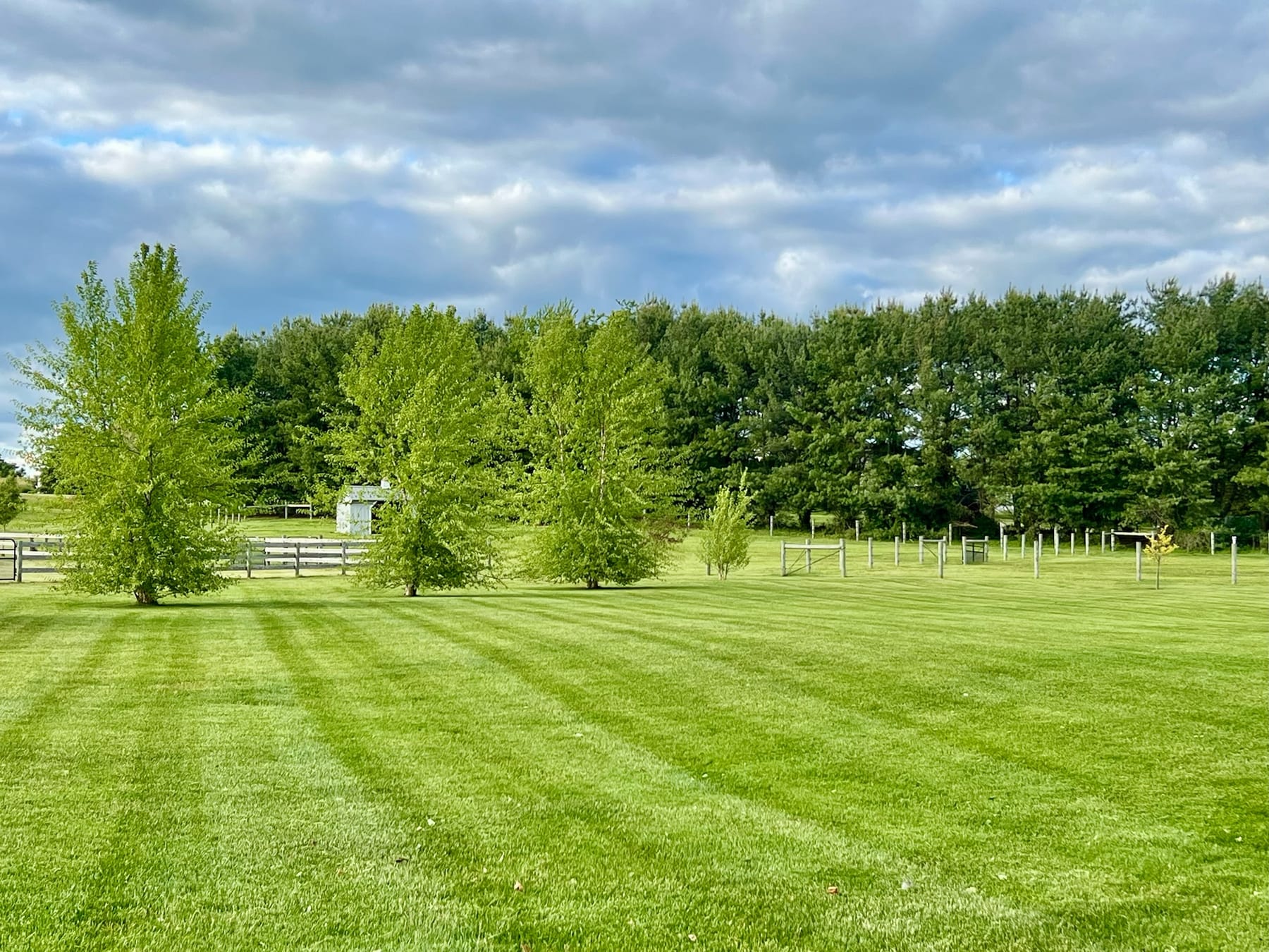 Perfectly striped freshly mowed lawn